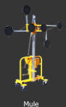 Mule